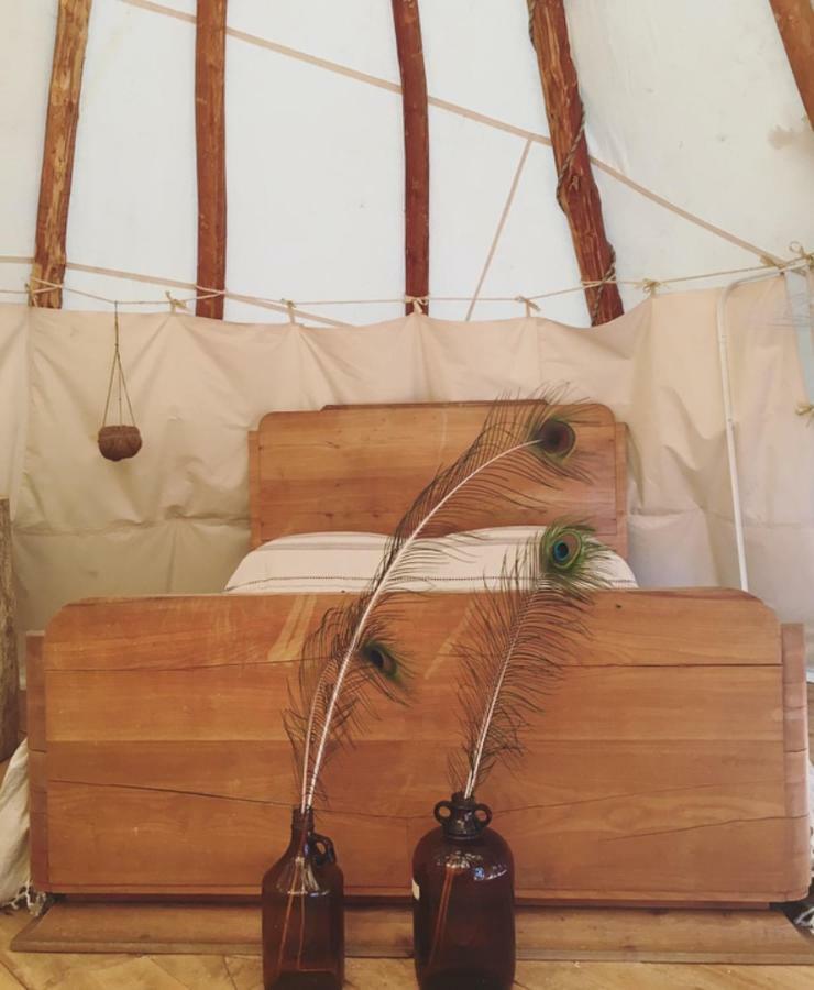 Tipi Lodge Dans La Foret Mimizan-Plage Εξωτερικό φωτογραφία