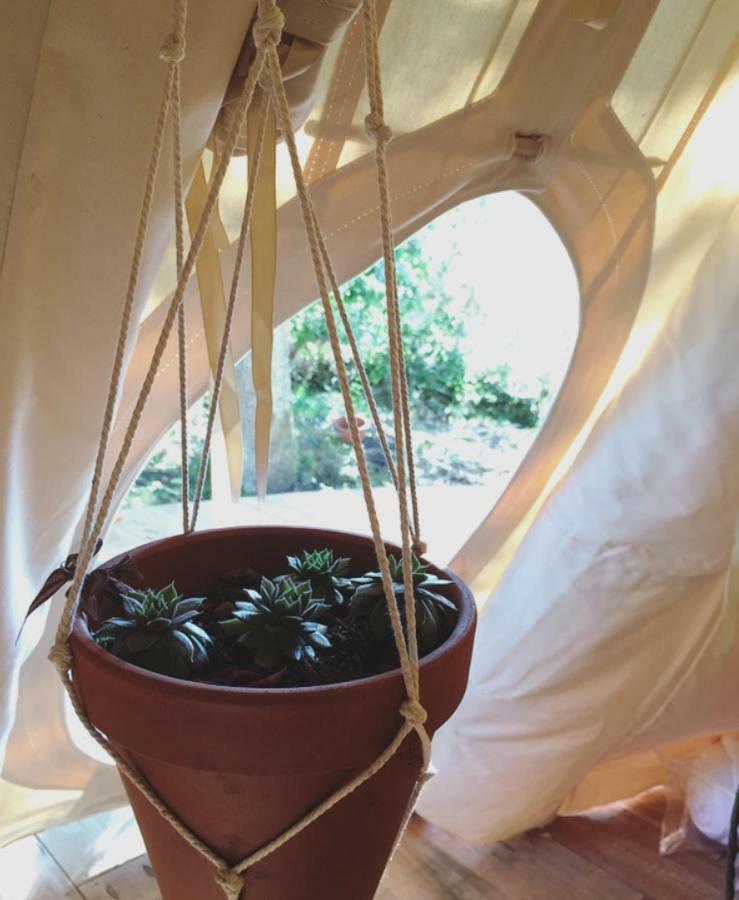 Tipi Lodge Dans La Foret Mimizan-Plage Εξωτερικό φωτογραφία