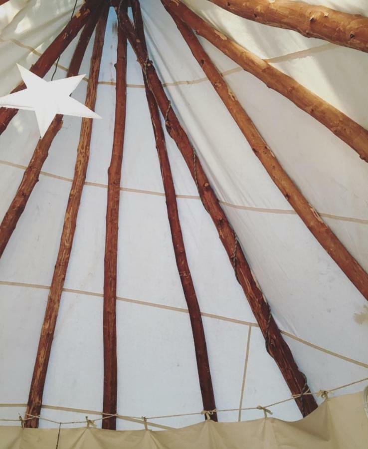 Tipi Lodge Dans La Foret Mimizan-Plage Εξωτερικό φωτογραφία