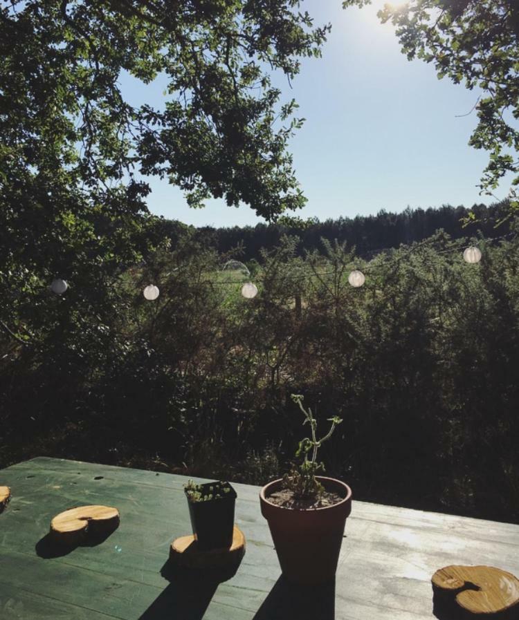 Tipi Lodge Dans La Foret Mimizan-Plage Εξωτερικό φωτογραφία